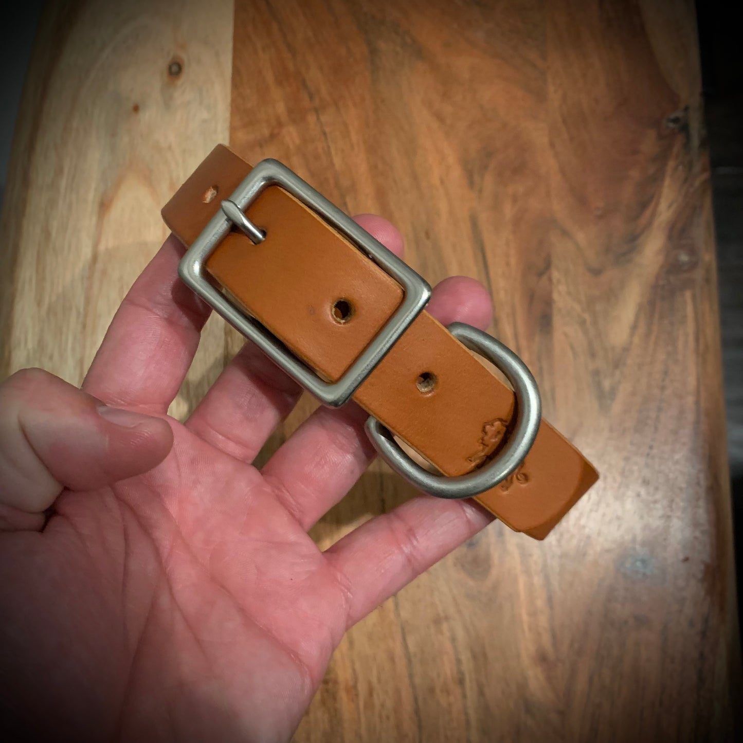 The Companion - Leather Dog Collar