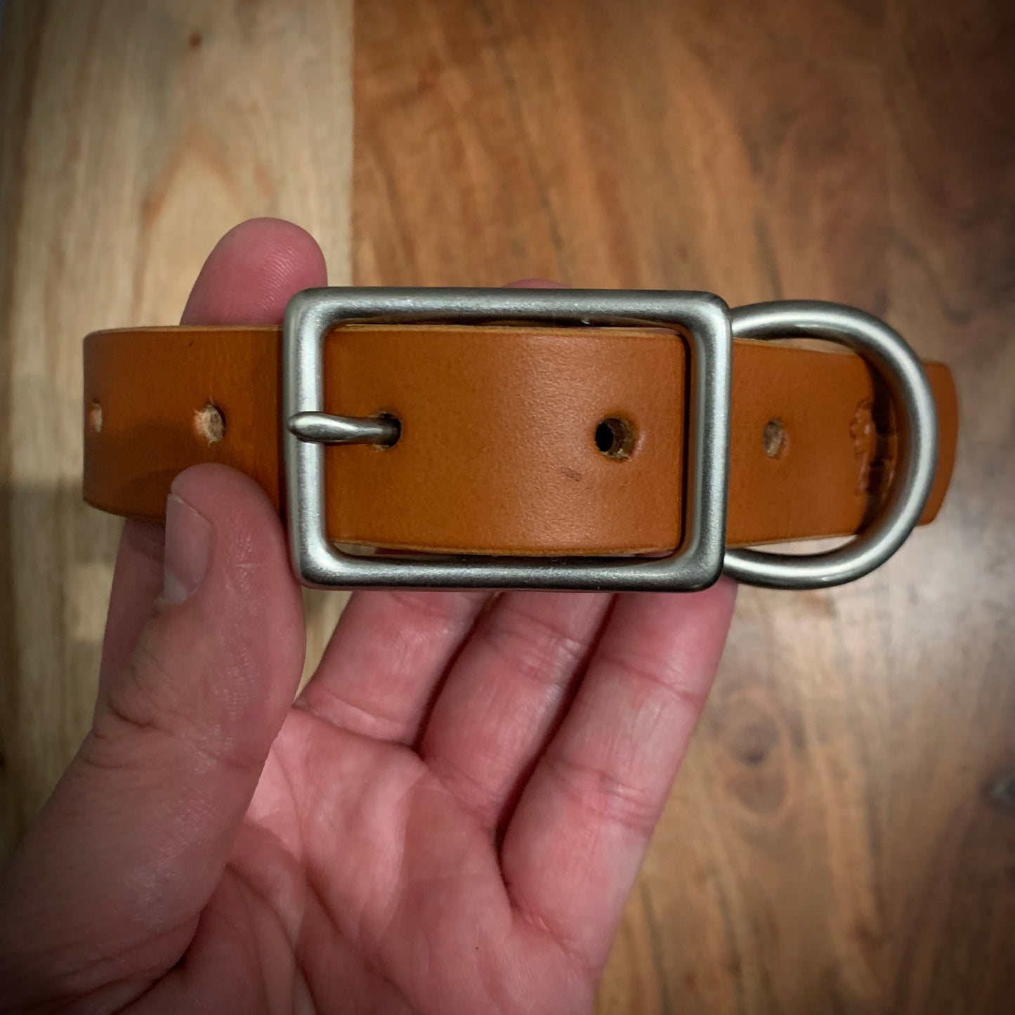 The Companion - Leather Dog Collar