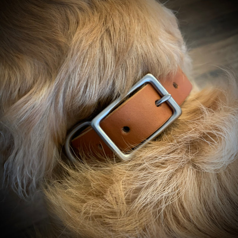 The Companion - Leather Dog Collar