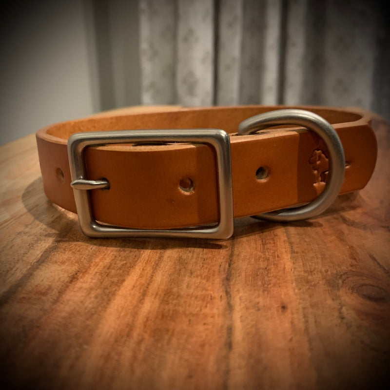 The Companion - Leather Dog Collar